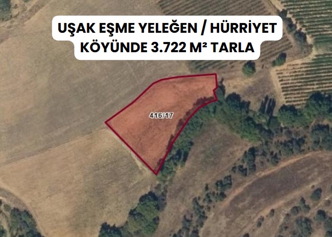 UŞAK EŞME YELEĞEN / HÜRRİYET  KÖYÜNDE 3.722 M² TARLA - UŞAK EŞME fotoğraf 5